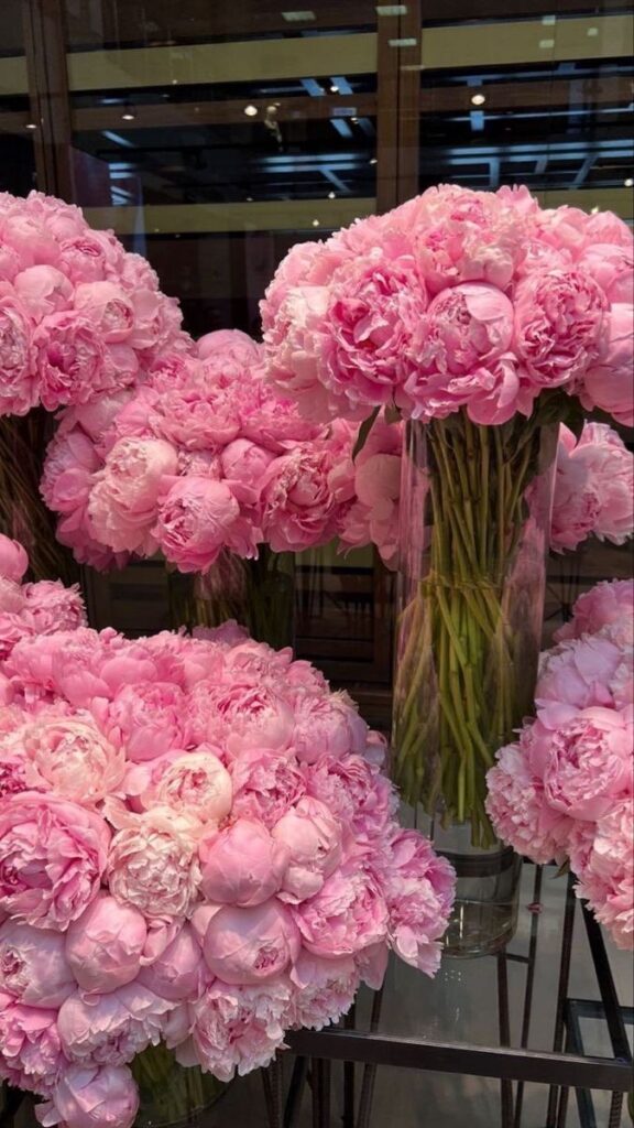 https://fr.pinterest.com/callistaphans/floral/